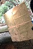 058.jpg